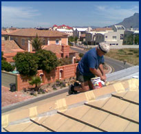 Handyman4U - Roof Maintenance, Waterproofing & Painting