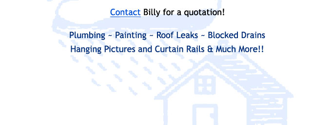 Handyman 4 U ~ Plumbing, painting, roof leaks, blocked drains, hanging pictures & curtain rails & much more!